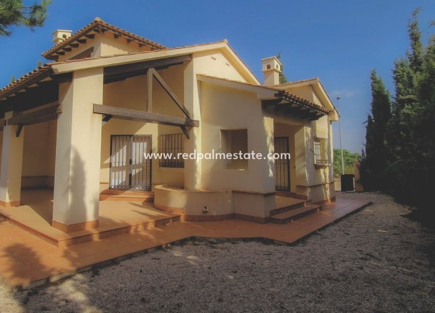 New Build - Detached Villa -
Fuente Álamo - Las Palas