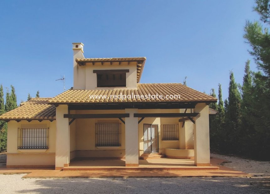 New Build - Detached Villa -
Fuente Álamo - Las Palas