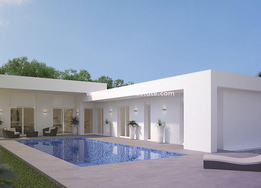 New Build - Detached Villa -
La Romana - Center