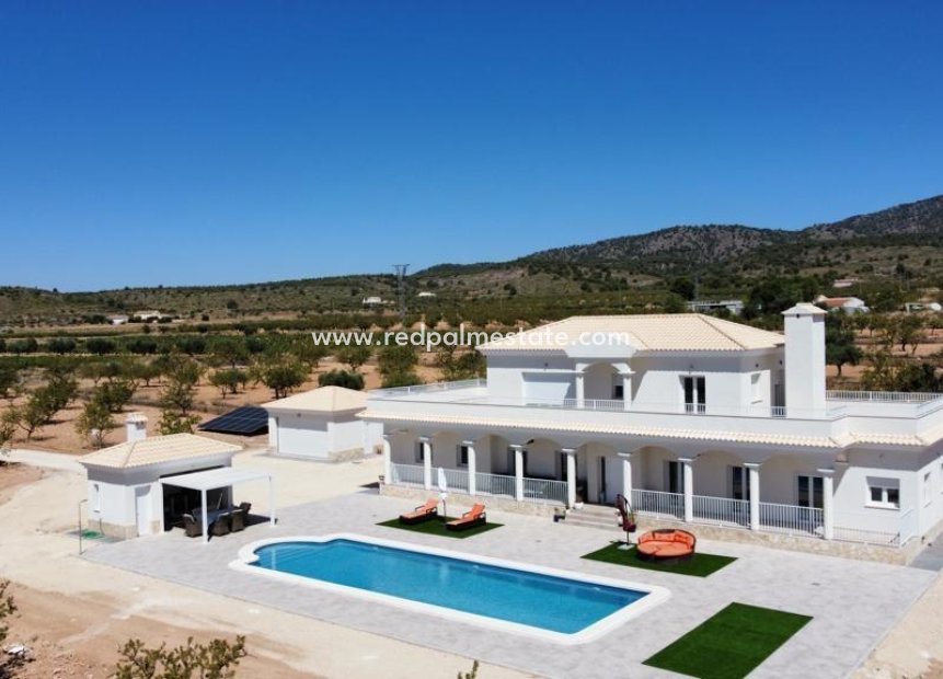 New Build - Detached Villa -
Pinoso - Camino Del Prado