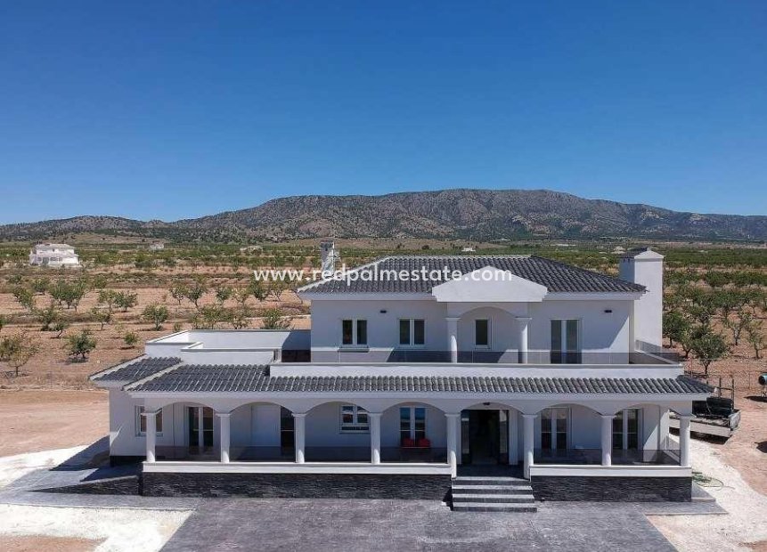 New Build - Detached Villa -
Pinoso - Camino Del Prado