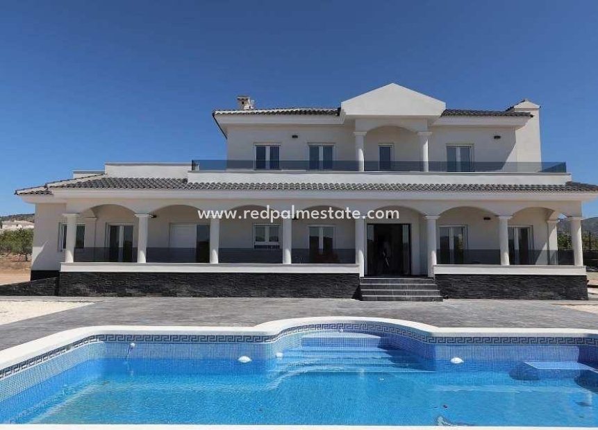 New Build - Detached Villa -
Pinoso - Camino Del Prado