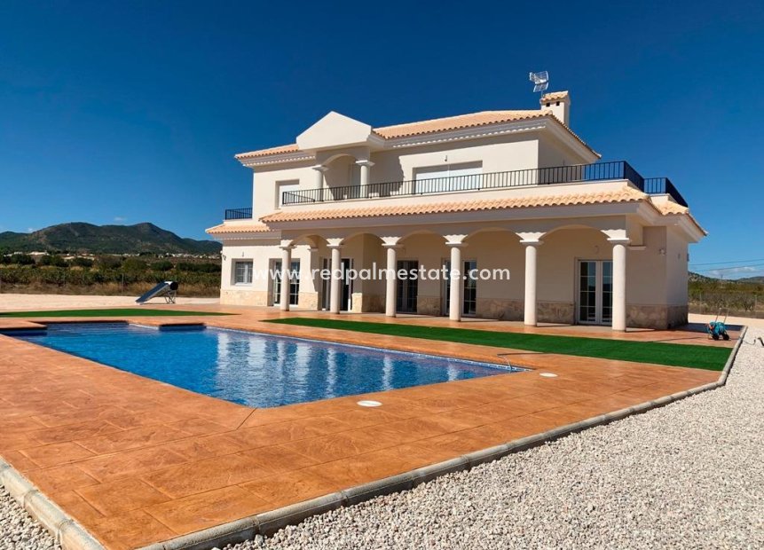 New Build - Detached Villa -
Pinoso - Camino Del Prado