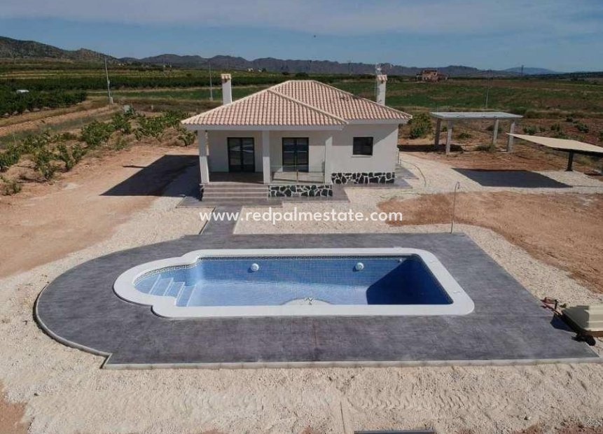 New Build - Detached Villa -
Pinoso - Camino Del Prado