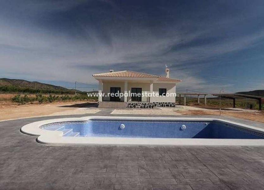 New Build - Detached Villa -
Pinoso - Camino Del Prado