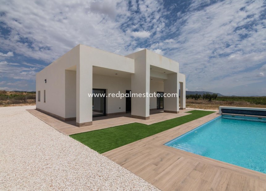 New Build - Detached Villa -
Pinoso - Campo