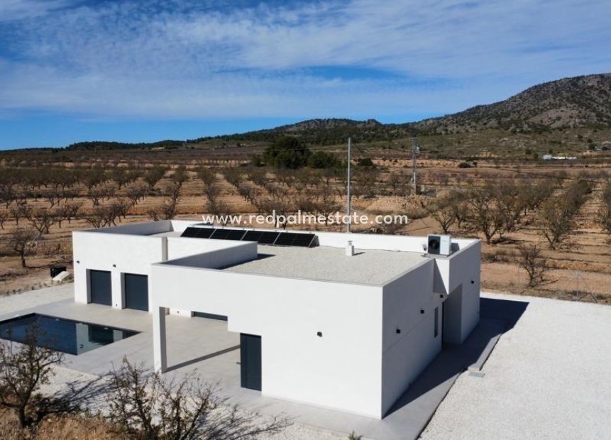 New Build - Detached Villa -
Pinoso - Campo