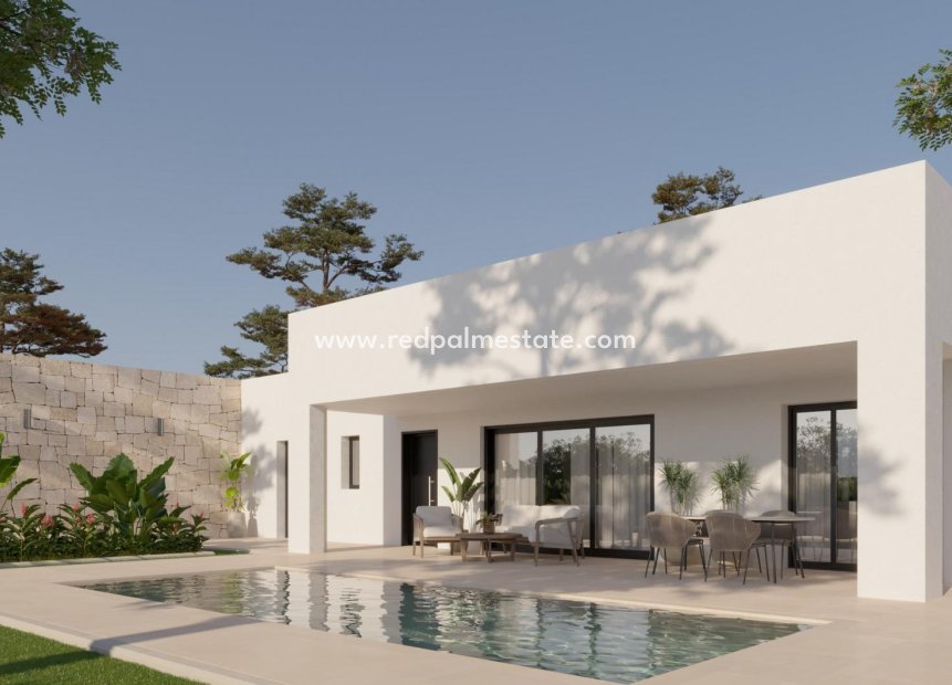 New Build - Detached Villa -
Pinoso - Lel