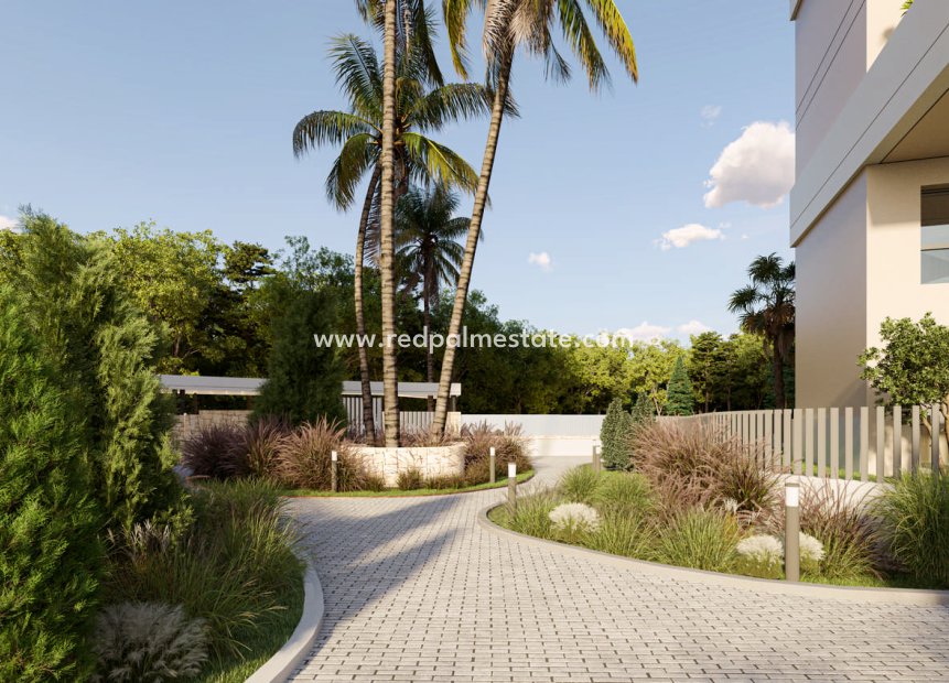 New Build - ground-floor -
Calpe