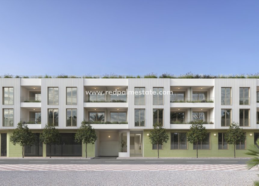 New Build - ground-floor -
Jacarilla