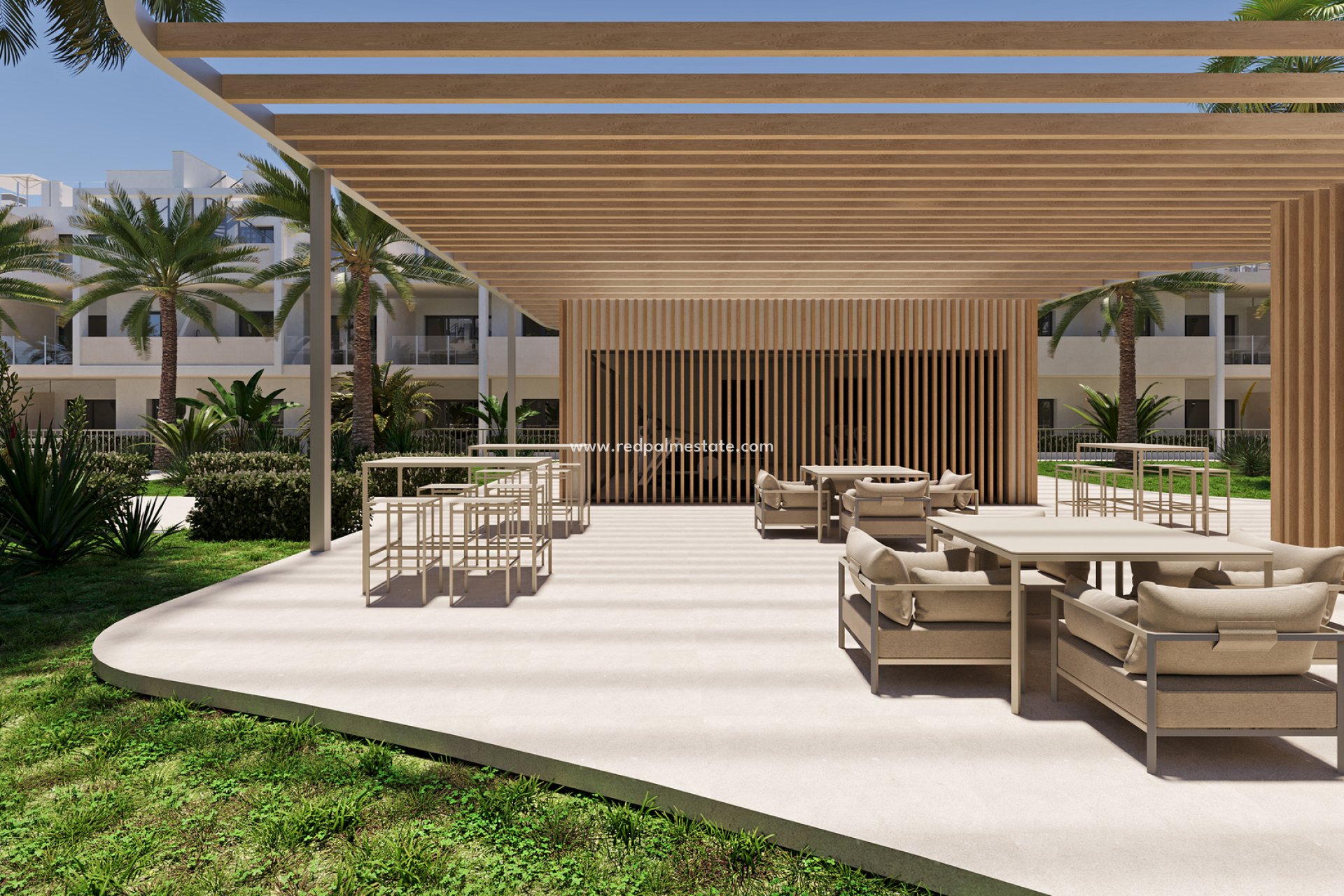 New Build - ground-floor -
SAN CAYETANO