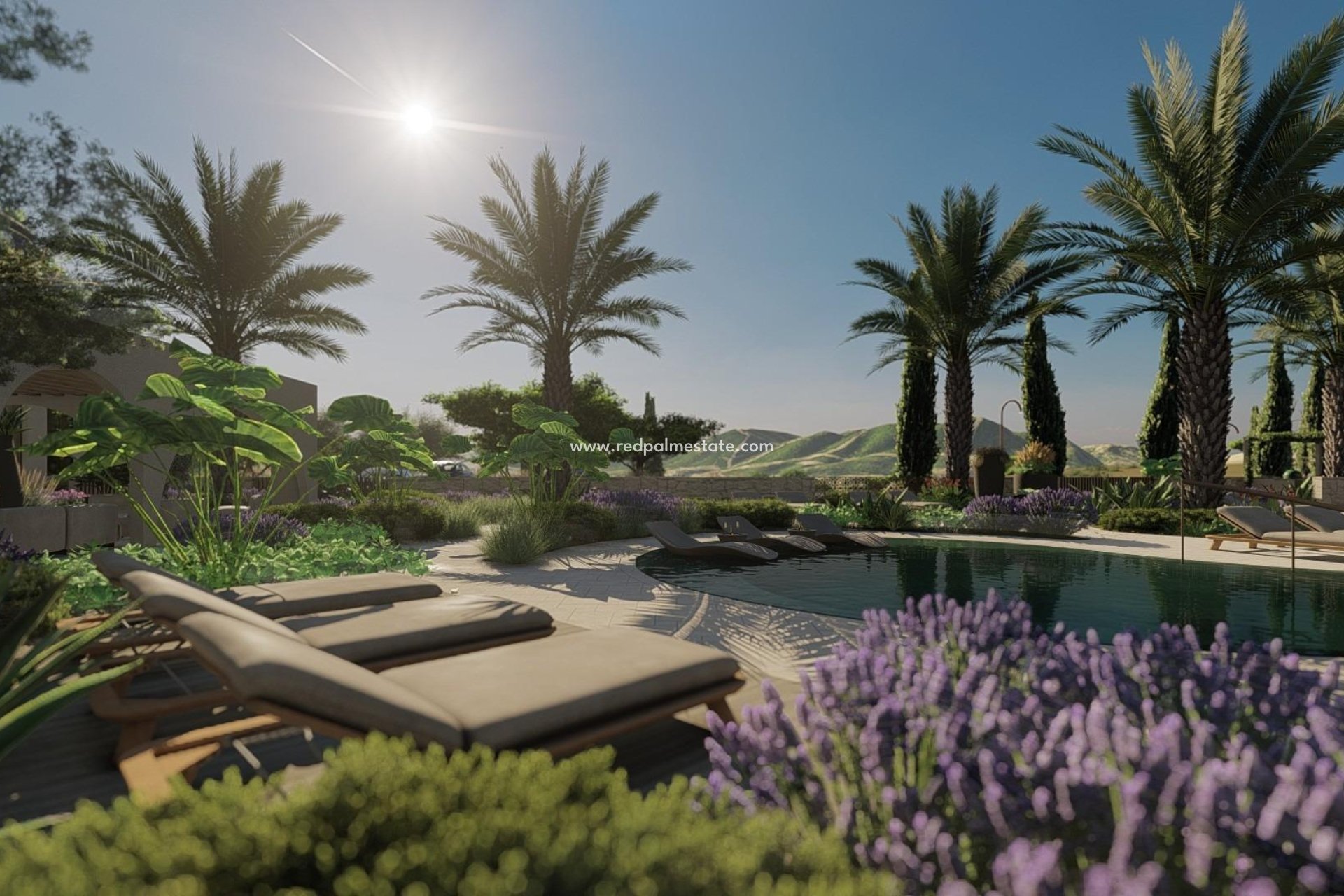 New Build - Town House -
Monda - Guaro