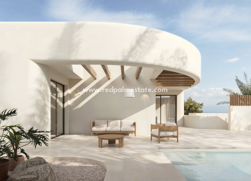 New Build - Villa -
Algorfa