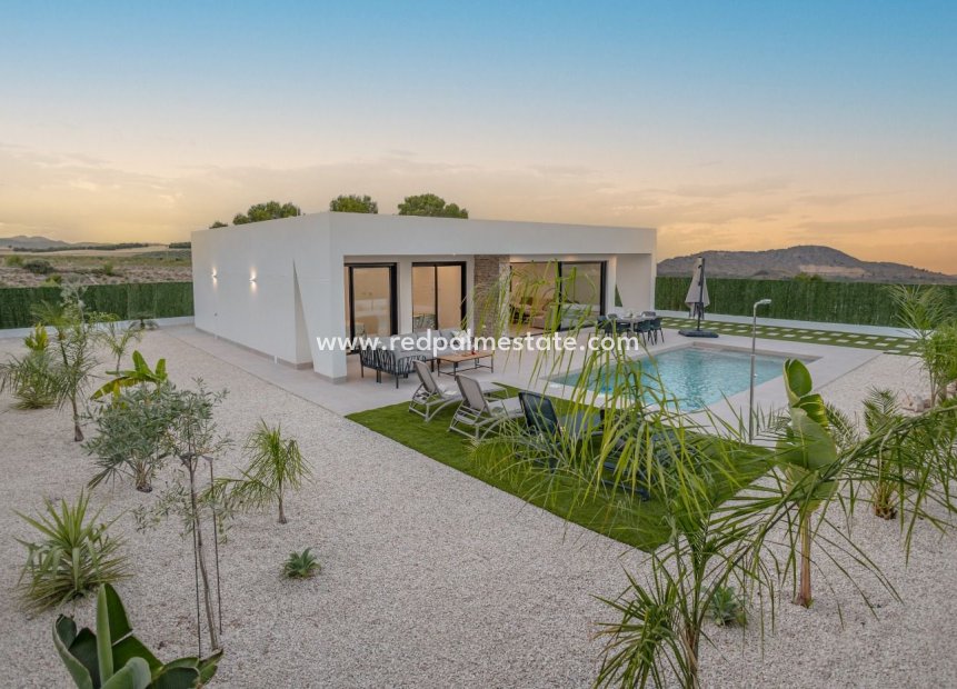 New Build - Villa -
Calasparra - Coto Riñales