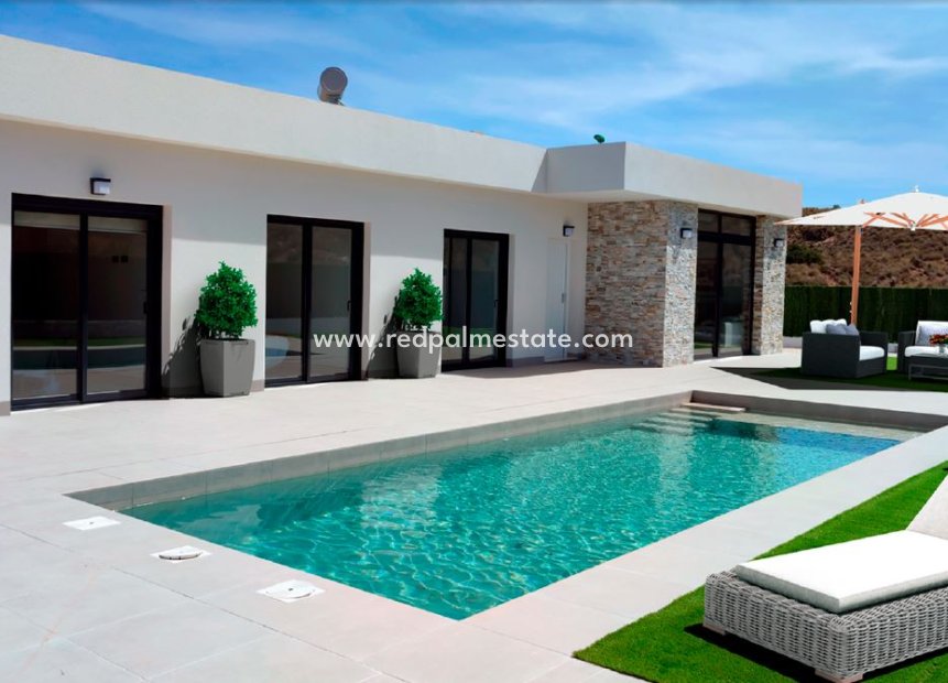 New Build - Villa -
Calasparra