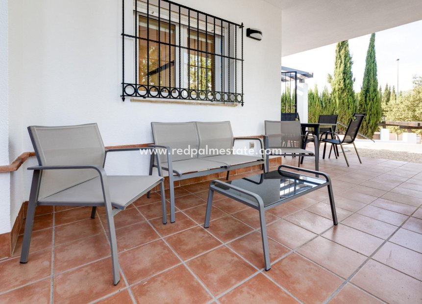 New Build - Villa -
Fuente Álamo - Las Palas