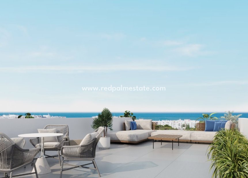 New Build - Villa -
Guardamar del Segura - Guardamar