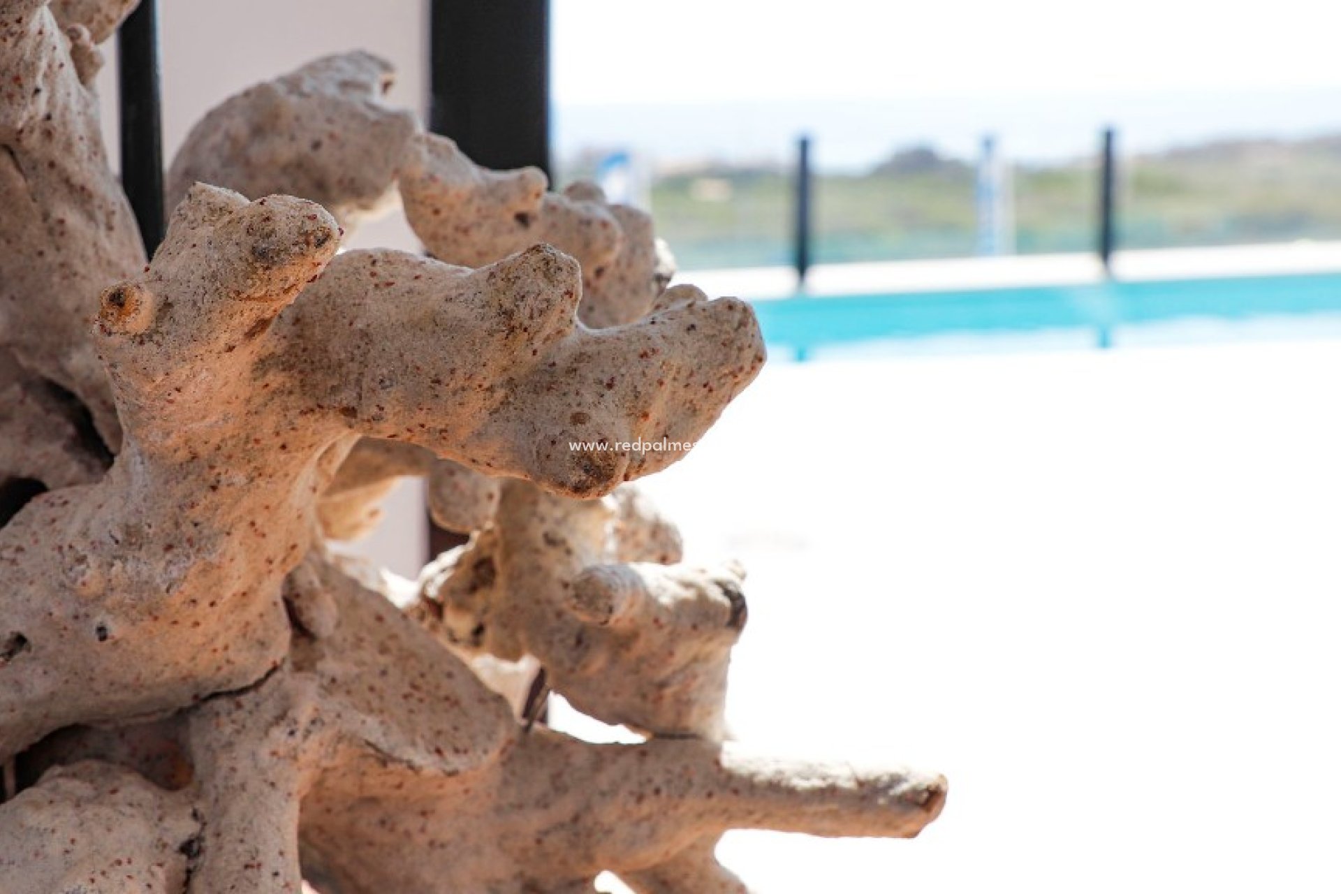 New Build - Villa -
Guardamar del Segura - Guardamar