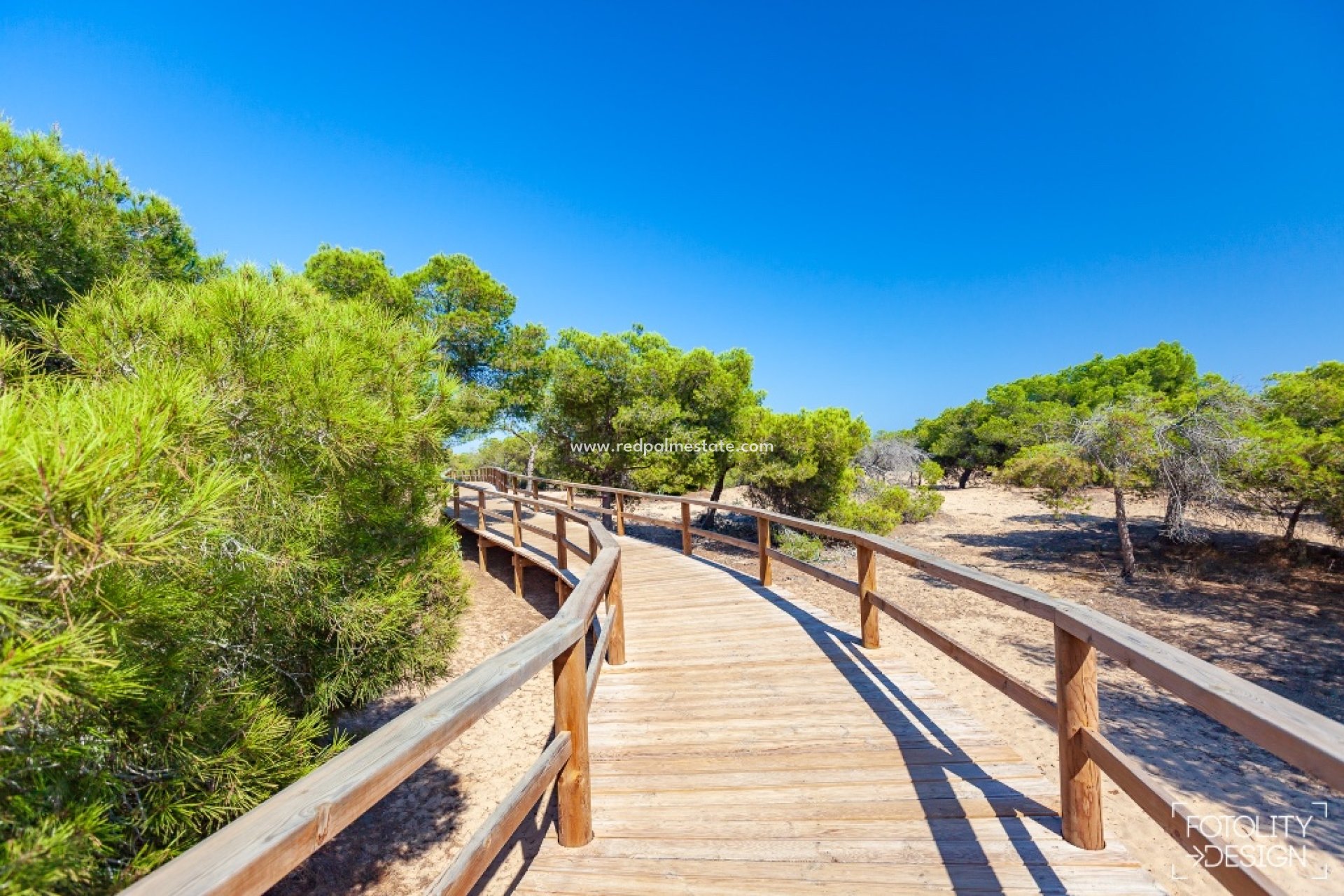 New Build - Villa -
Guardamar del Segura - Guardamar