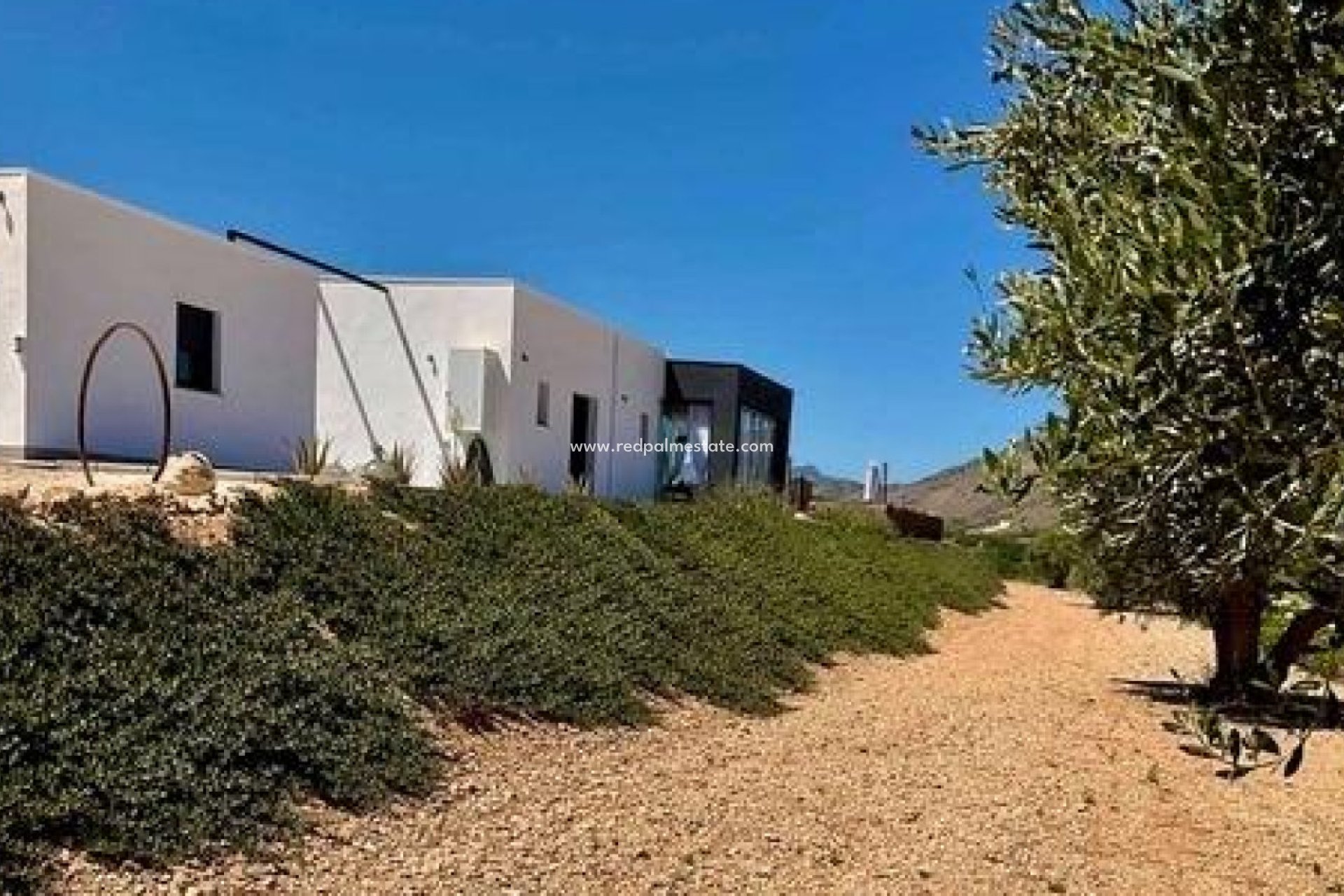 New Build - Villa -
Jumilla - Torre del Rico