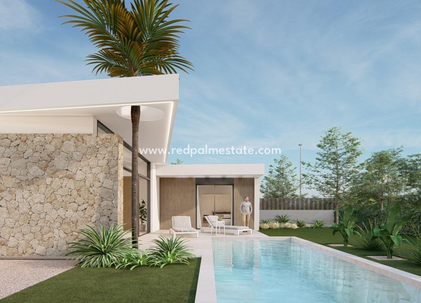 New Build - Villa -
Molina De Segura - Urb. La Quinta