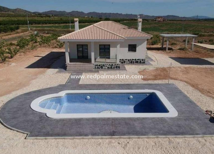 New Build - Villa -
Pinoso - Camino Del Prado