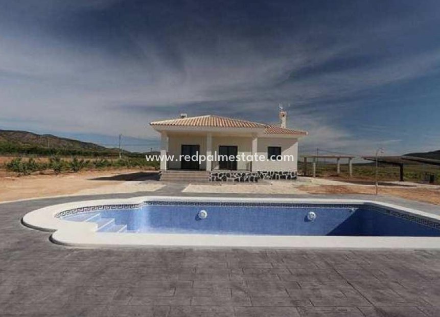 New Build - Villa -
Pinoso - Camino Del Prado