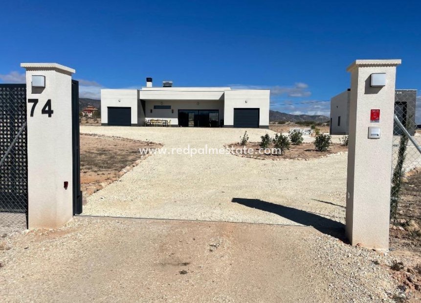 New Build - Villa -
Pinoso - Camino Del Prado