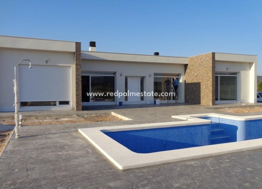 New Build - Villa -
Pinoso - Camino Del Prado