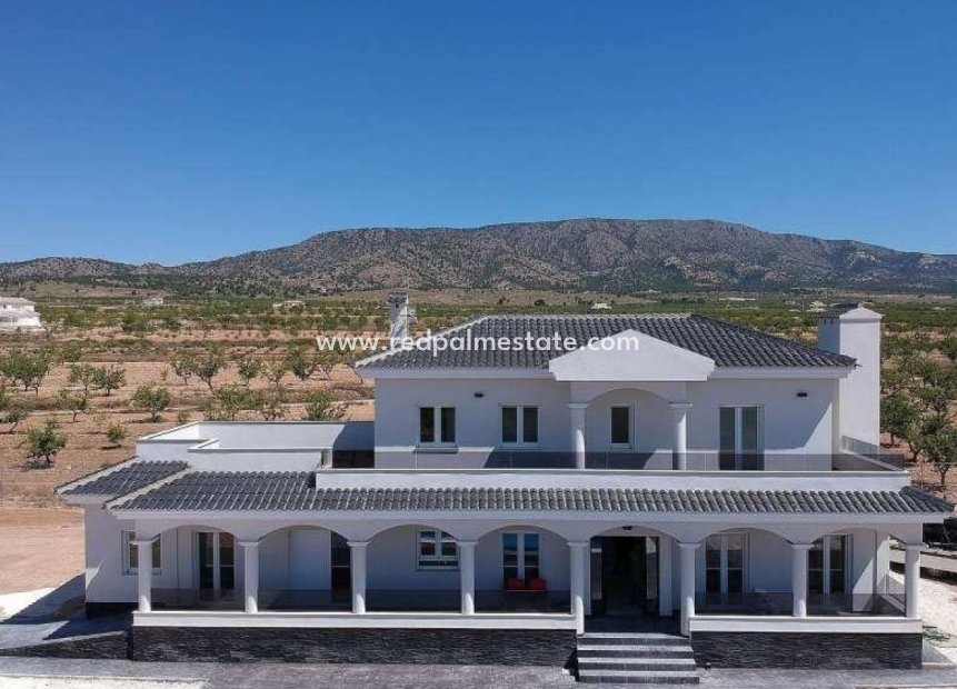 New Build - Villa -
Pinoso - Camino Del Prado