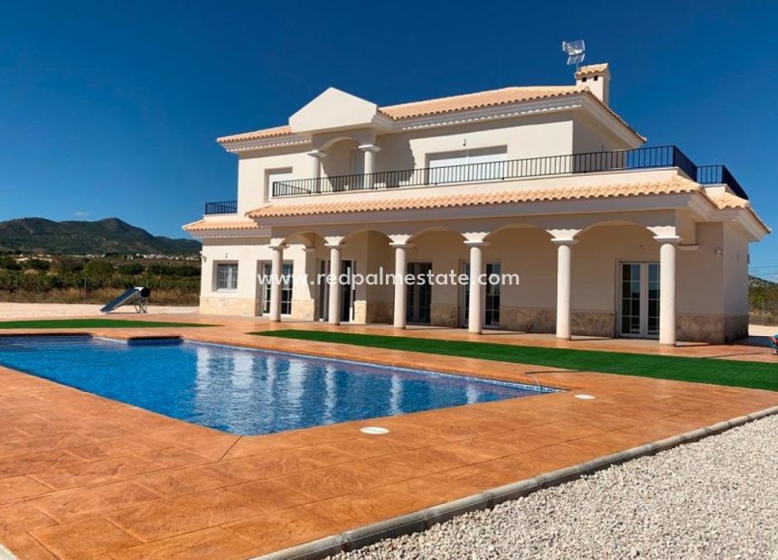 New Build - Villa -
Pinoso - Camino Del Prado