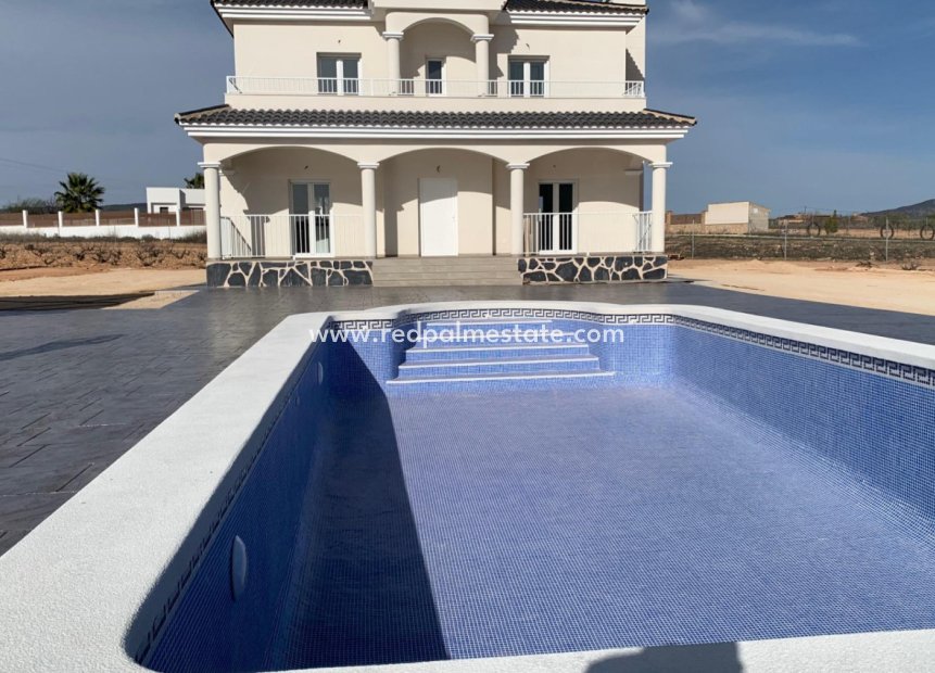 New Build - Villa -
Pinoso - Camino Del Prado