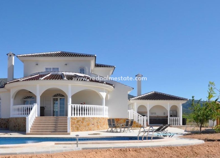 New Build - Villa -
Pinoso - Campo