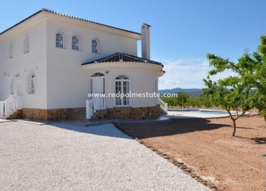 New Build - Villa -
Pinoso - Campo