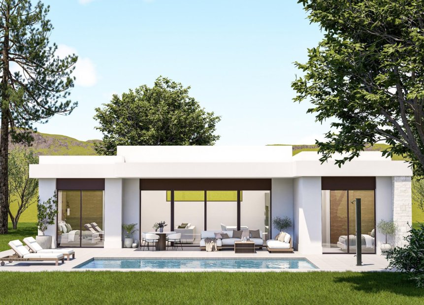 New Build - Villa -
Pinoso - Lel