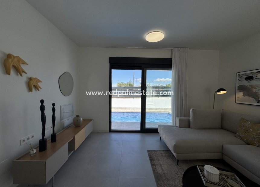 New Build - Villa -
ROLDAN - Roldán