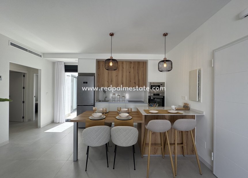 New Build - Villa -
ROLDAN - Roldán