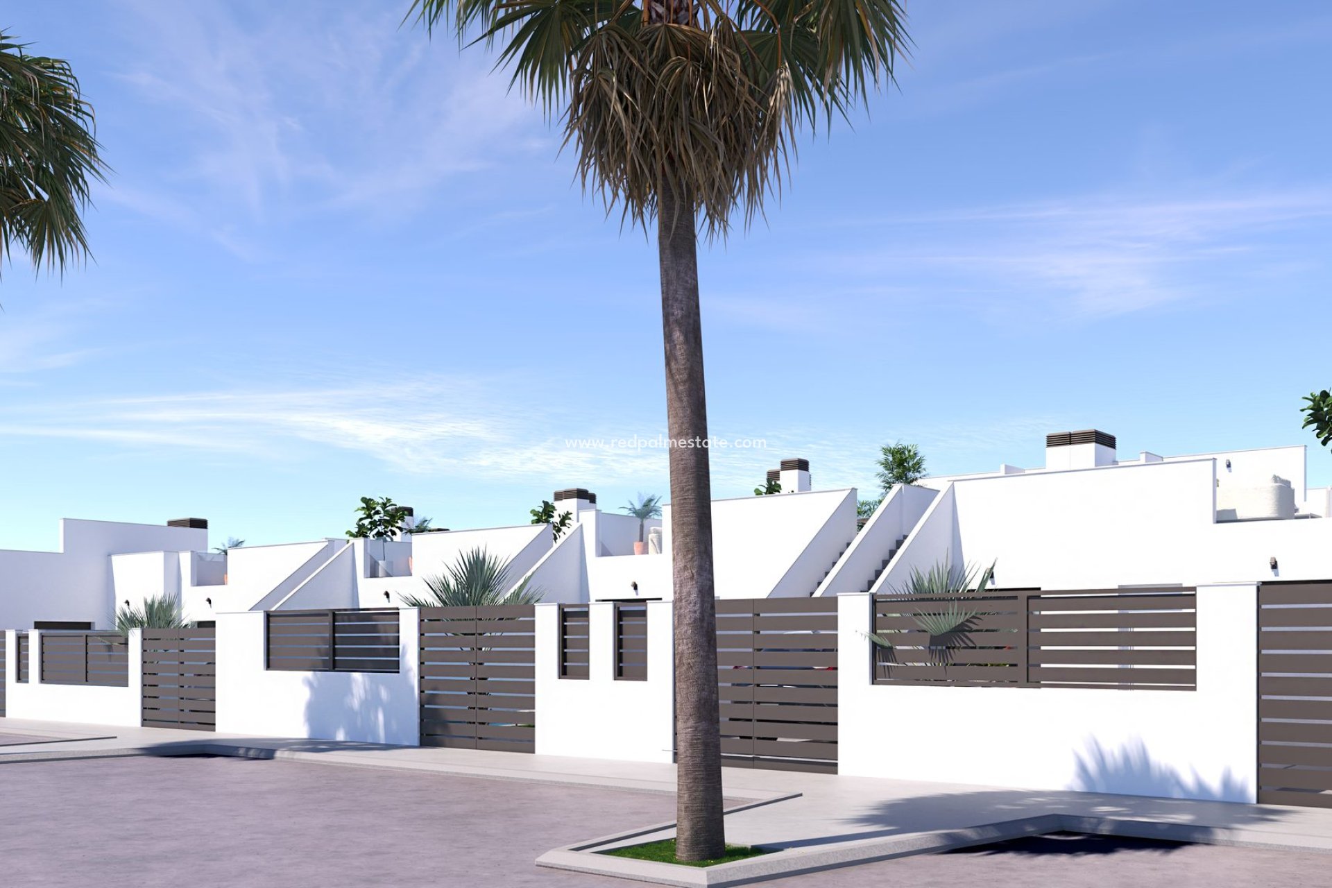 New Build - Villa -
ROLDAN - Roldán