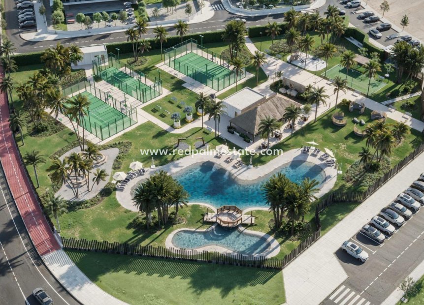 New Build - Villa -
Torre Pacheco - Roldán