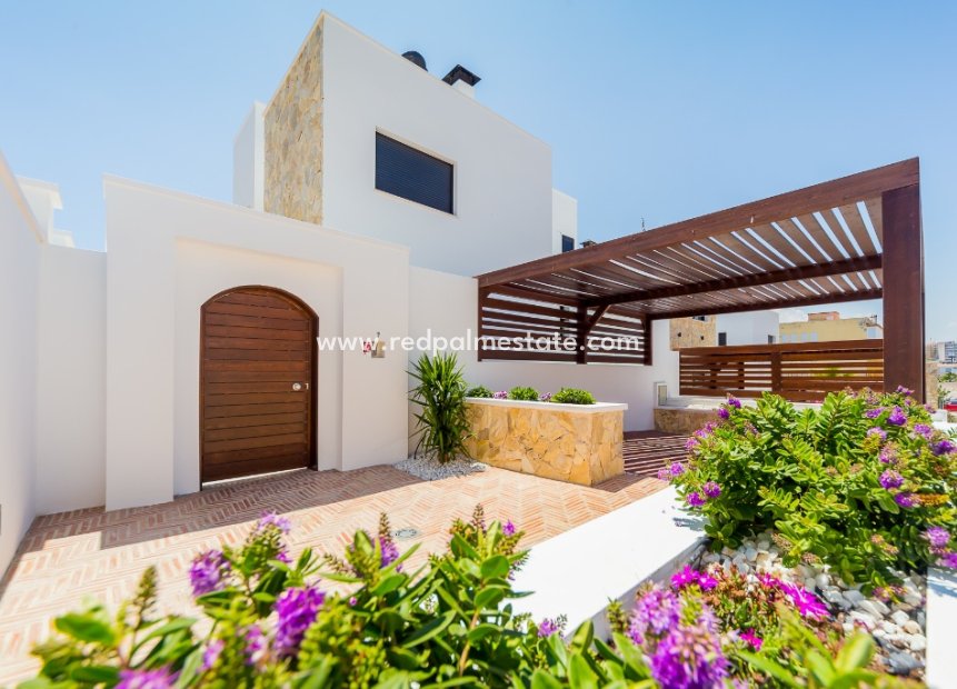 New Build - Villa -
Torrevieja - La Mata