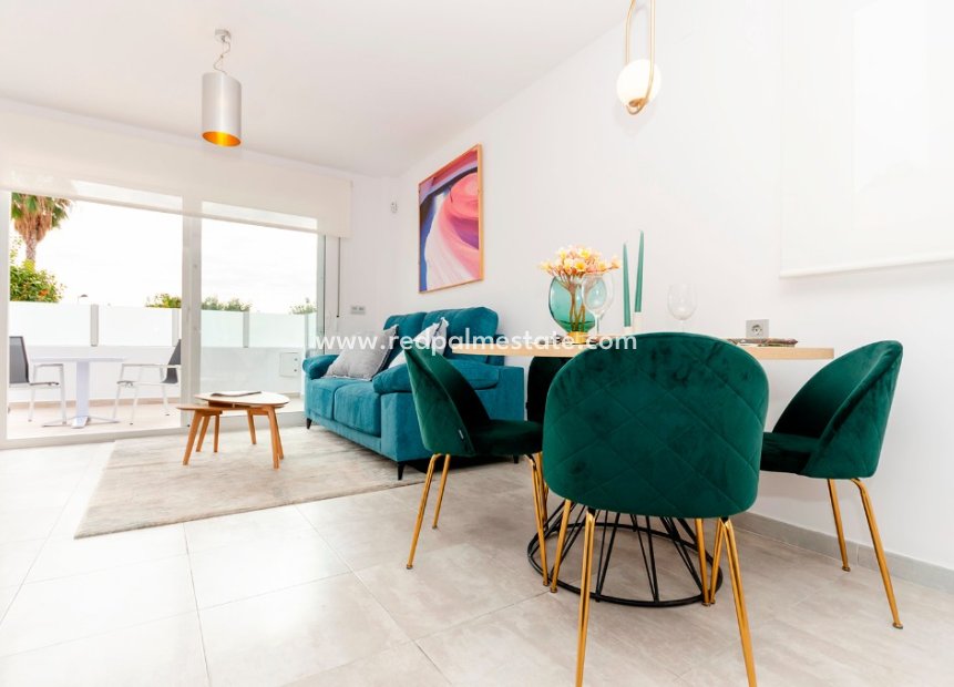 New Build - Villa -
Torrevieja - La Siesta - El Salado -  Torreta