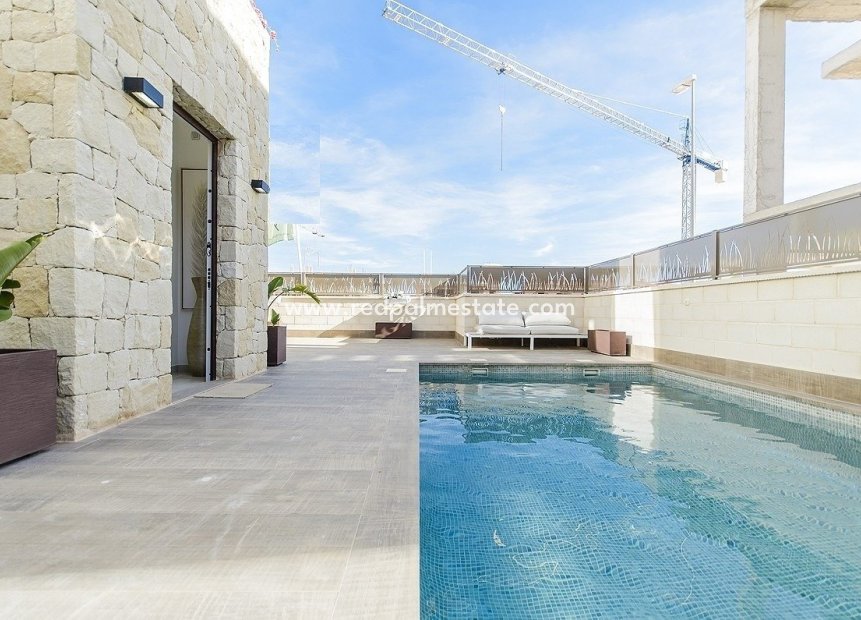 New Build - Villa -
Vera Playa