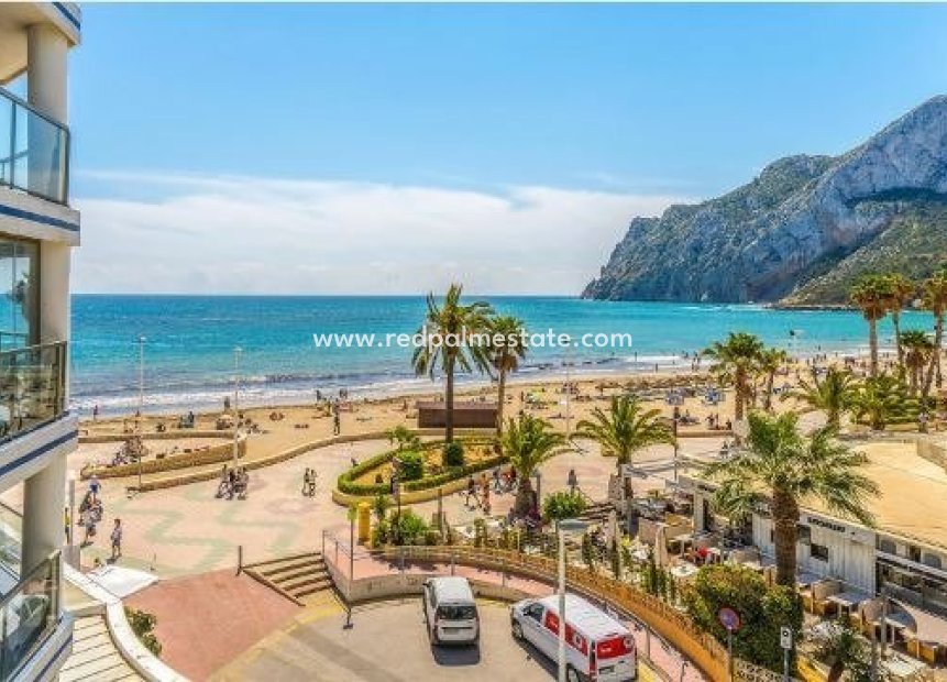 Nieuwbouw Woningen - Appartement -
Calpe - Playa La Fossa