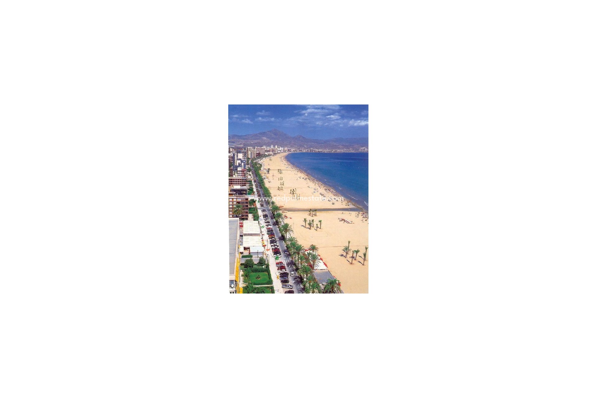 Nieuwbouw Woningen - Appartement Penthouse -
Alicante - Fran Espinos