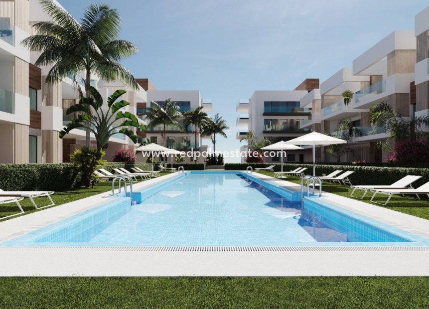 Nieuwbouw Woningen - Appartement Penthouse -
San Pedro del Pinatar - Pueblo