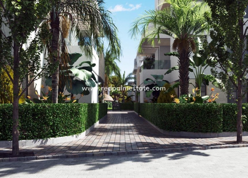 Nieuwbouw Woningen - Appartement Penthouse -
Torre Pacheco - Santa Rosalia