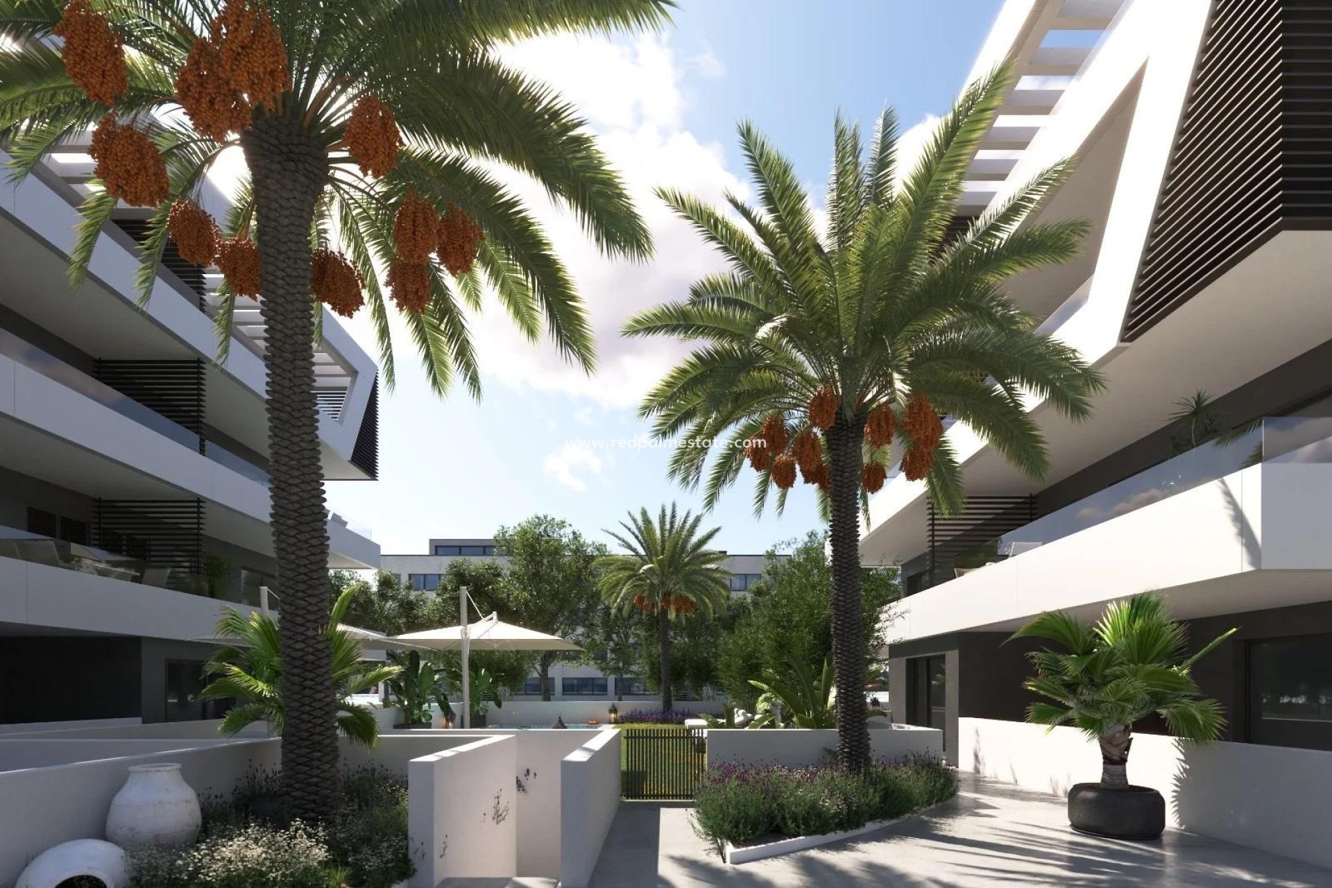 Nieuwbouw Woningen - Penthouse -
San Juan Alicante - Frank Espinós