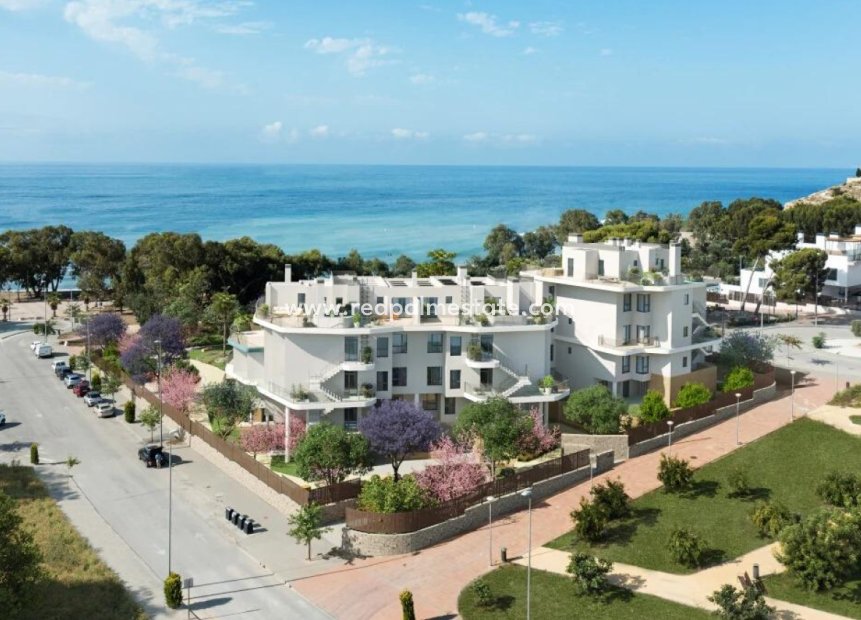 Nieuwbouw Woningen - Stadshuis -
Villajoyosa - Playas Del Torres