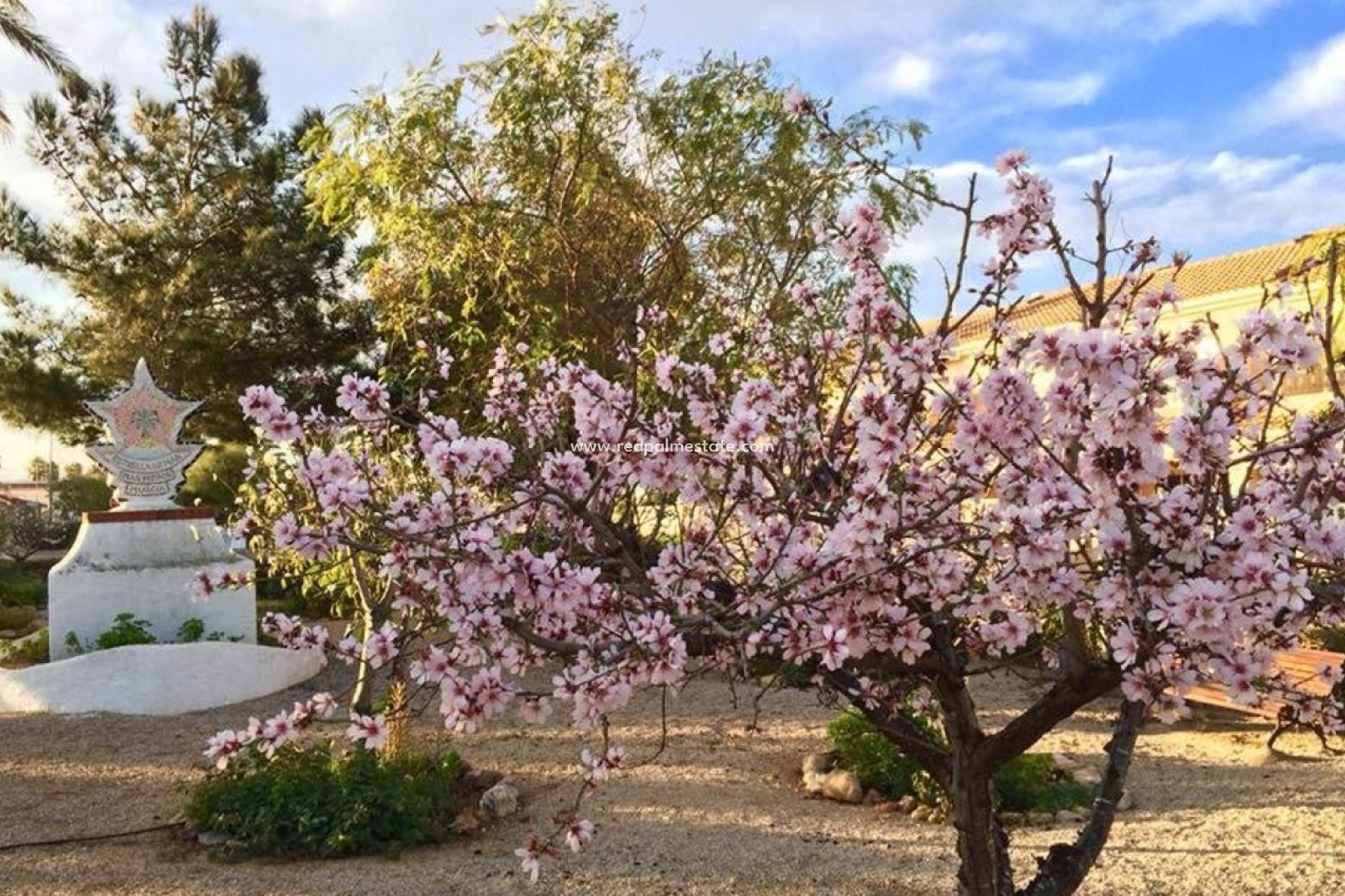 Nieuwbouw Woningen - Villa -
LOS URRUTIAS - Estrella De Mar