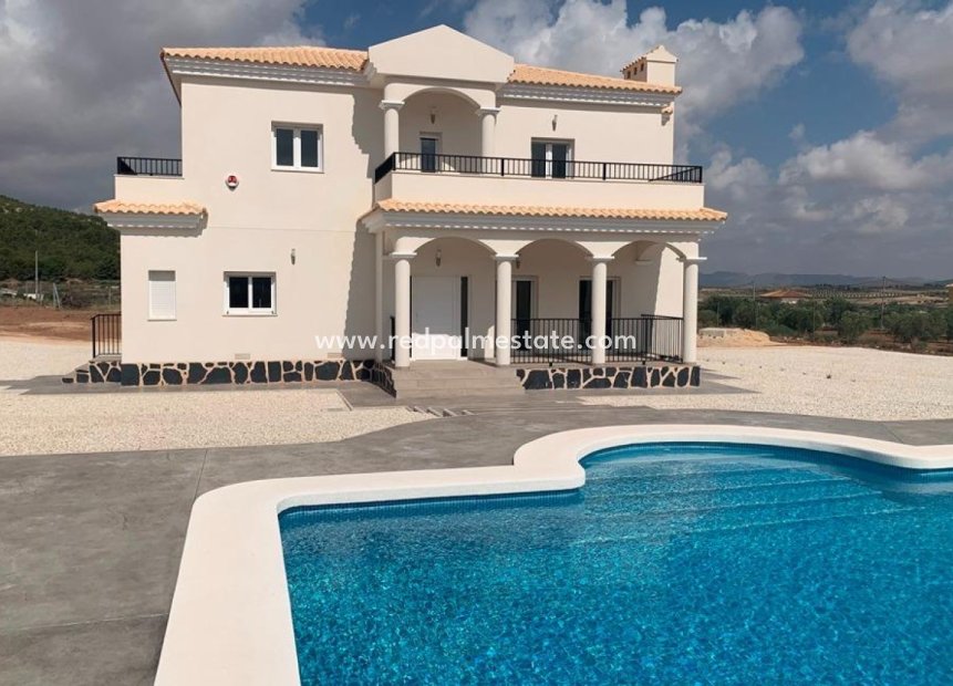 Nieuwbouw Woningen - Villa -
Pinoso - Camino Del Prado